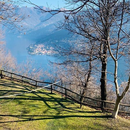 Il Riccio Appartamento تْشيرنوبيو المظهر الخارجي الصورة