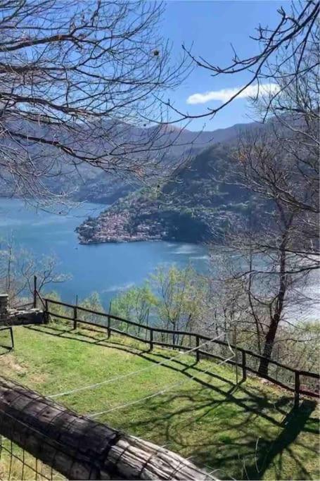 Il Riccio Appartamento تْشيرنوبيو المظهر الخارجي الصورة