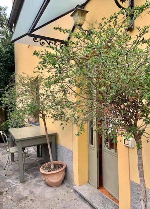 Il Riccio Appartamento تْشيرنوبيو المظهر الخارجي الصورة